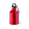 330ml Aluminum Water Bottle with Carabiner - Water bottle at wholesale prices 330ml Aluminum Water Bottle with Carabiner - Water bottle at wholesale prices