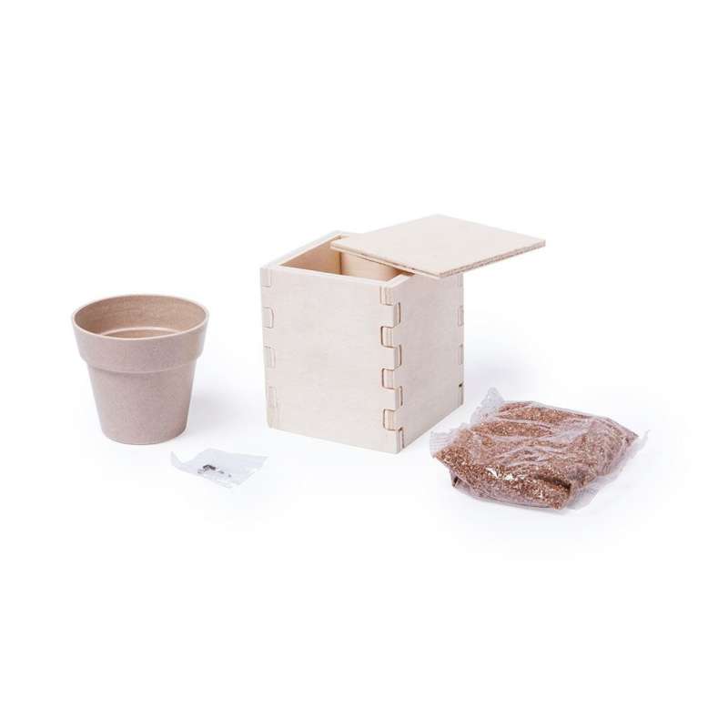 Vaso de Flores Biodegradável 6-8 Sementes - Planta a preço grossista