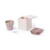 Biodegradable Flower Pot with Mint Seeds - Plant at wholesale prices