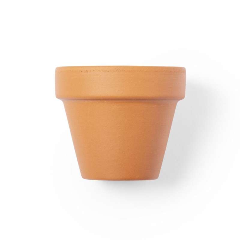 Vaso di Terracotta con Fiori di Petunia - Semi da piantare a prezzi all'ingrosso