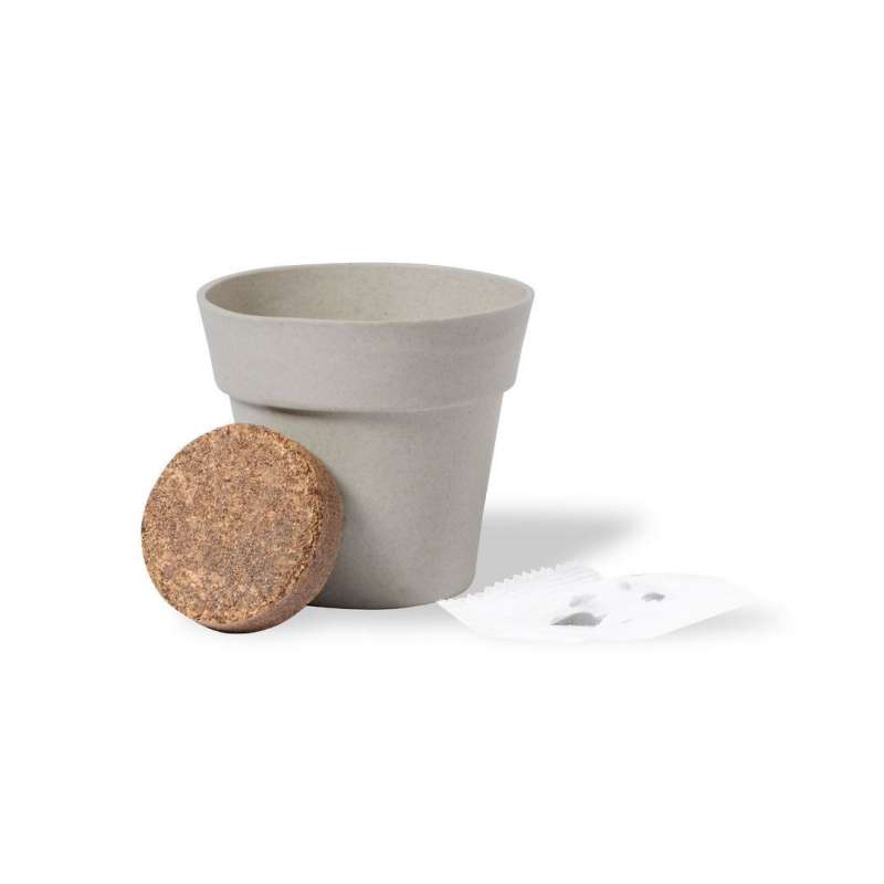 Maceta biodegradable con 5-8 semillas - Semilla para plantar a precios de mayorista
