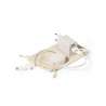 Set Chargeurs - Pylot - Chargeur à prix grossiste Set Chargeurs - Pylot - Chargeur à prix grossiste