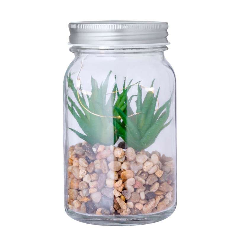 Plante Décorative - Kyala - Mini pot de fleurs à prix de gros