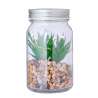 Dekorativ plante i glas med LED - Plante til engrospris Dekorativ plante i glas med LED - Plante til engrospris