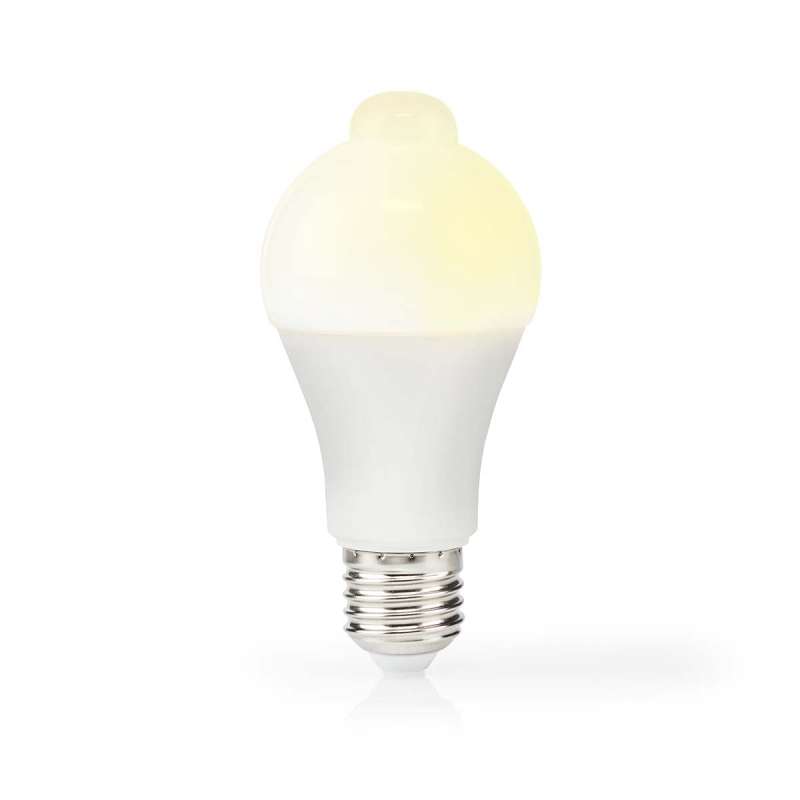 Ampoule LED E27 | A60 | 4.9 W | 470 lm | 3000 | Blanc | Style rétro | Givré | 1 pièces - Ampoule led à prix de gros