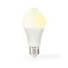 Ampoule LED E27 | A60 | 8.5 W | 806 lm | 3000 | Blanc | Style rétro | Givré | 1 pièces - Ampoule led à prix grossiste
