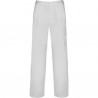 Long pants in durable PINTOR fabric - work pants at wholesale prices