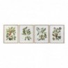 Cadre DKD Home Decor Bird Oiseaux (4 pcs) (55 x 2.5 x 70 cm) - Article pour la maison à prix grossiste
