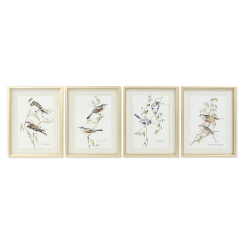Cadre DKD Home Decor Oiseaux (35 x 2.5 x 45 cm) (4 pcs) - Article pour la maison à prix grossiste