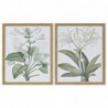 Cadre DKD Home Decor Plantes botaniques (2 pcs) (43 x 3 x 53 cm) - Article pour la maison à prix de gros