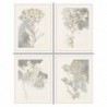 Frame DKD Home Decor Flowers (55 x 2.5 x 70 cm) (4 pcs) - Article for the home at wholesale prices