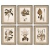 Cadre DKD Home Decor Plantes botaniques (55 x 2.5 x 70 cm) (6 pcs) - Article pour la maison à prix grossiste