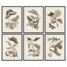 Frame DKD Home Decor Flowers (50 x 2.5 x 65 cm) (6 pcs) - Article for the home at wholesale prices
