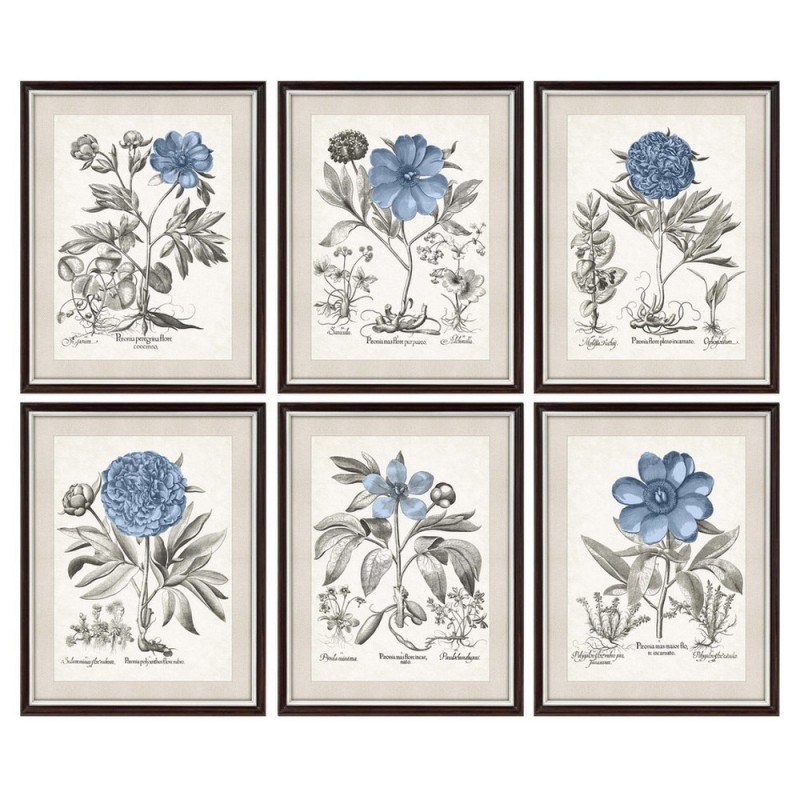 Cadre DKD Home Decor Fleurs (6 pcs) (50 x 2 x 65 cm) - Article pour la maison à prix de gros