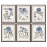 Frame DKD Home Decor Flowers (6 pcs) (50 x 2 x 65 cm) - Article for the home at wholesale prices