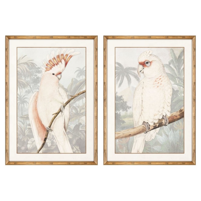 Cadre DKD Home Decor Perroquet (50 x 2 x 70 cm) (2 pcs) - Article pour la maison à prix de gros