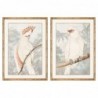 Cadre DKD Home Decor Perroquet (50 x 2 x 70 cm) (2 pcs) - Article pour la maison à prix de gros