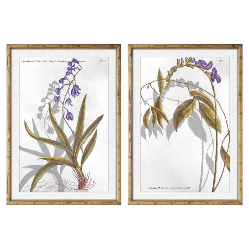 Frame DKD Home Decor Botanical plants (50 x 2 x 70 cm) (2 pcs) - Article for the home at wholesale prices