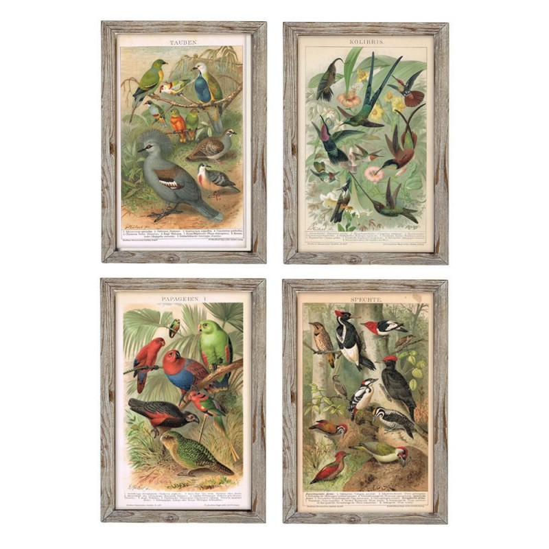 Cadre DKD Home Decor Oiseaux (45 x 2 x 65 cm) (4 pcs) - Article pour la maison à prix de gros