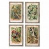 Frame DKD Home Decor Birds (45 x 2 x 65 cm) (4 pcs) - Article for the home at wholesale prices