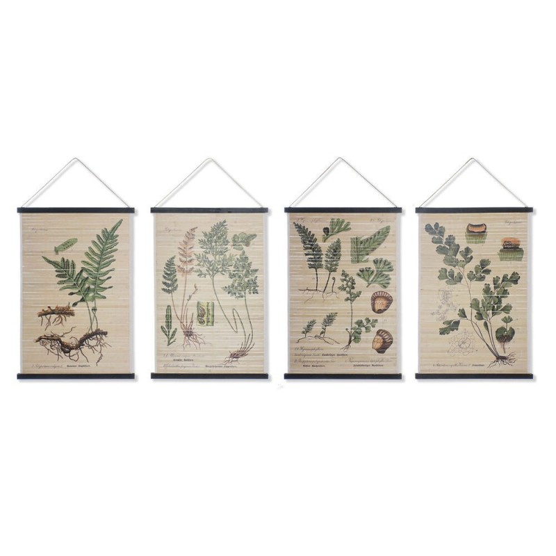 Toile DKD Home Decor Botanical plants (4 pcs) (60 x 2 x 90 cm) - Article for the home at wholesale prices