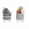 Decorative plant DKD Home Decor Cactus Polyethylene resin (11 x 11 x 21 cm) (2 pcs) - Article for the home at wholesale prices
