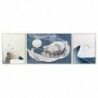 Set of 3 DKD Home Decor pictures (240 x 3 x 80 cm) (3 pcs) - Article for the home at wholesale prices