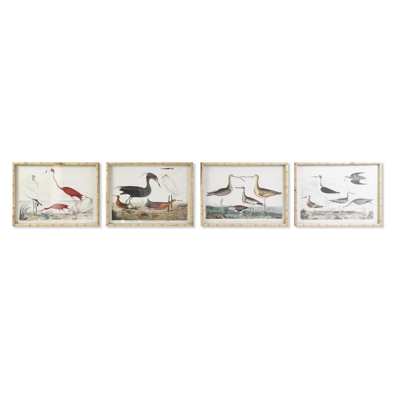Frame DKD Home Decor Oiseaux Moderne (60 x 2.8 x 45 cm) (4 Units) - Article for the home at wholesale prices