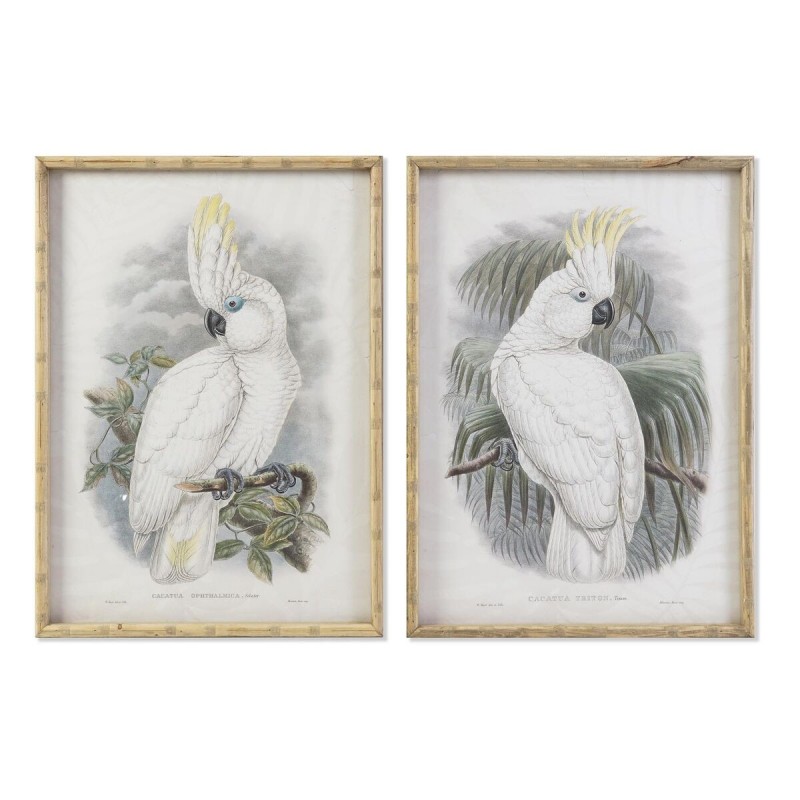 Frame DKD Home Decor Colonial Oiseau (50 x 2.8 x 70 cm) (2 Units) - Article for the home at wholesale prices