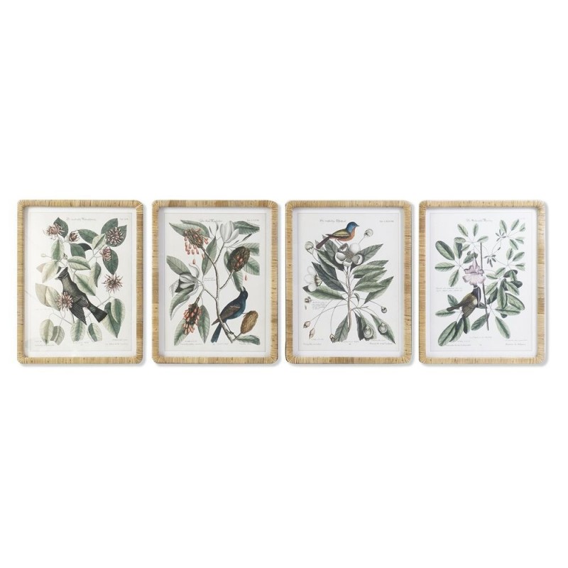 Frame DKD Home Decor Botanical plants (50 x 2.5 x 65 cm) (4 Units) - Article for the home at wholesale prices