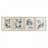 Frame DKD Home Decor Botanical plants (50 x 2.5 x 65 cm) (4 Units) - Article for the home at wholesale prices