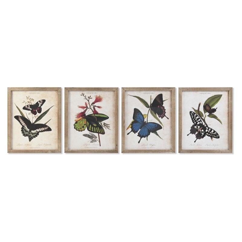 Cadre DKD Home Decor Papillons Shabby Chic (40 x 2 x 50 cm) (4 Unités) - Article pour la maison à prix grossiste