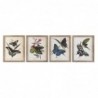 Cadre DKD Home Decor Papillons Shabby Chic (40 x 2 x 50 cm) (4 Unités) - Article pour la maison à prix grossiste