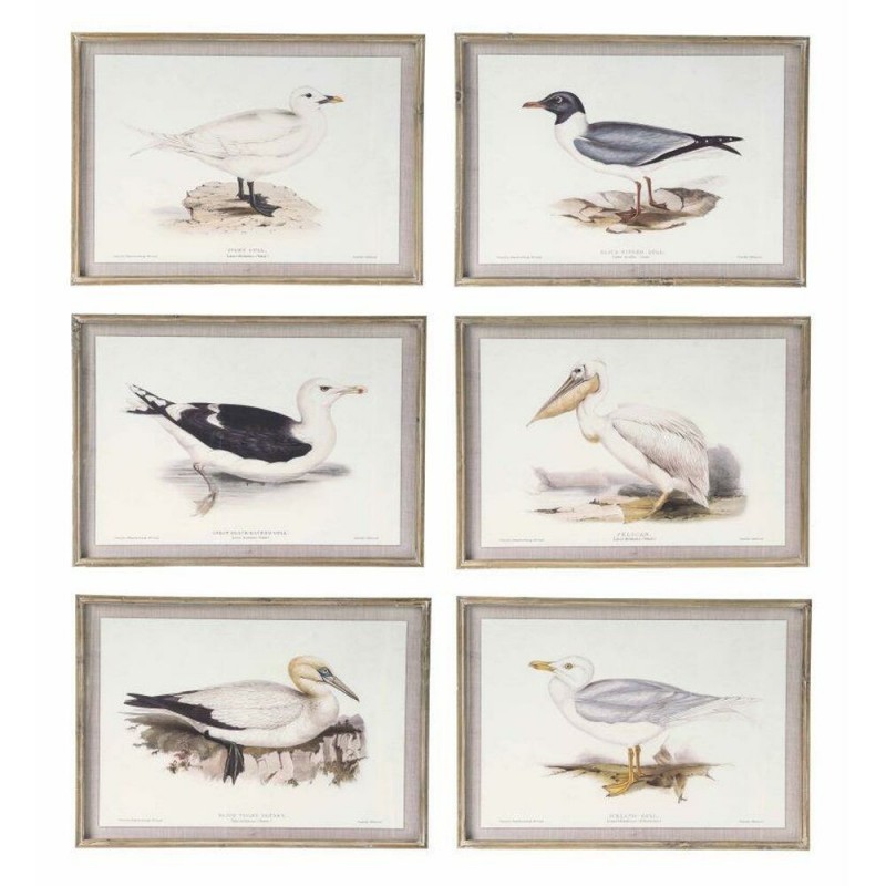 Frame DKD Home Decor Birds (70 x 2.5 x 50 cm) (6 Units) - Article for the home at wholesale prices
