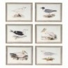 Cadre DKD Home Decor Oiseaux (70 x 2,5 x 50 cm) (6 Unités) - Article pour la maison à prix grossiste Cadre DKD Home Decor Oiseaux (70 x 2,5 x 50 cm) (6 Unités) - Article pour la maison à prix grossiste