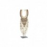 Figurine Décorative DKD Home Decor Collier Fer Coquillages (23,5 x 15 x 70 cm) - Article pour la maison à prix grossiste Figurine Décorative DKD Home Decor Collier Fer Coquillages (23,5 x 15 x 70 cm) - Article pour la maison à prix grossiste
