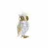 Decorative Figurine DKD Home Decor Owl Golden White Traditional Resin (6.5 x 7 x 13 cm) - Article for the home at wholesale prices