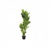 Plante décorative DKD Home Decor Vert PE (40 x 40 x 120 cm) - Article pour la maison à prix de gros Plante décorative DKD Home Decor Vert PE (40 x 40 x 120 cm) - Article pour la maison à prix de gros