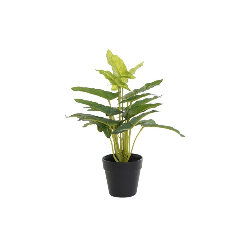 Plante décorative DKD Home Decor Noir Vert PVC PP Lis (25 x 25 x 30 cm) - Article pour la maison à prix de gros