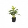 Decorative plant DKD Home Decor Black Green PVC PP Lily (25 x 25 x 30 cm) - Article for the home at wholesale prices