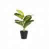 Plante décorative DKD Home Decor Noir Vert PVC PP (25 x 25 x 30 cm) - Article pour la maison à prix de gros