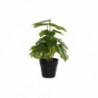 Plante décorative DKD Home Decor Noir Vert PVC PP (20 x 20 x 30 cm) - Article pour la maison à prix grossiste