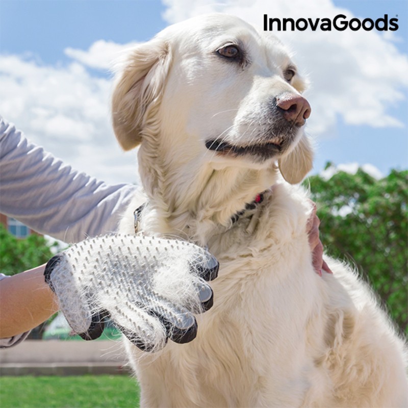 Relpeta InnovaGoods Pet Brushing and Massaging Glove - Article for the home at wholesale prices