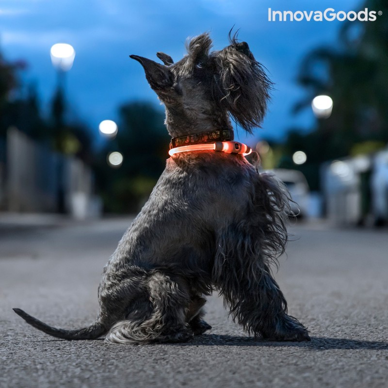 Petlux InnovaGoods LED Pet Collar - Article for the home at wholesale prices