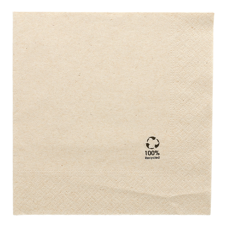 Lot de 2400 Serviettes Ecolabel 2 Plis 18 G/m2 - Accessoire recyclable à prix de gros