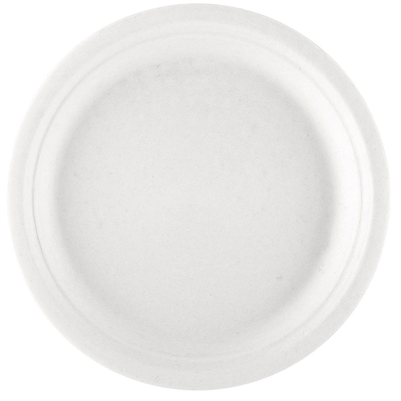 Pack of 1000 plates - single use plate at wholesale prices