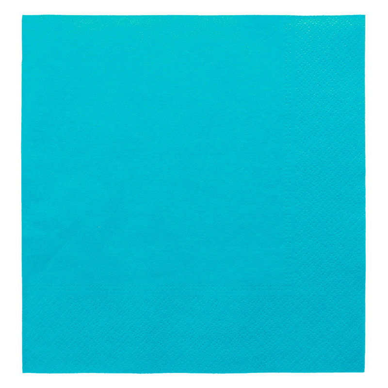 Lot de 1600 Serviettes Ecolabel 2 Plis 18 G/m2 - serviette en papier à prix de gros