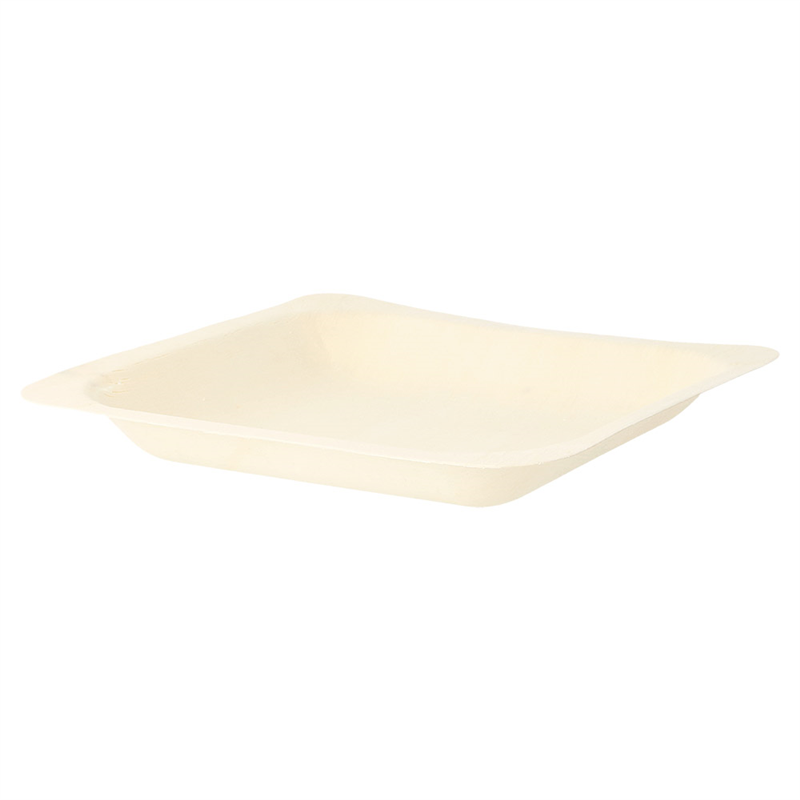 Set of 50 Square Plates - single use plate at wholesale prices