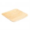 Set of 200 Square Plates - single use plate at wholesale prices