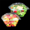 Set of 600 Salad Bowls With Hinge - salad box at wholesale prices
